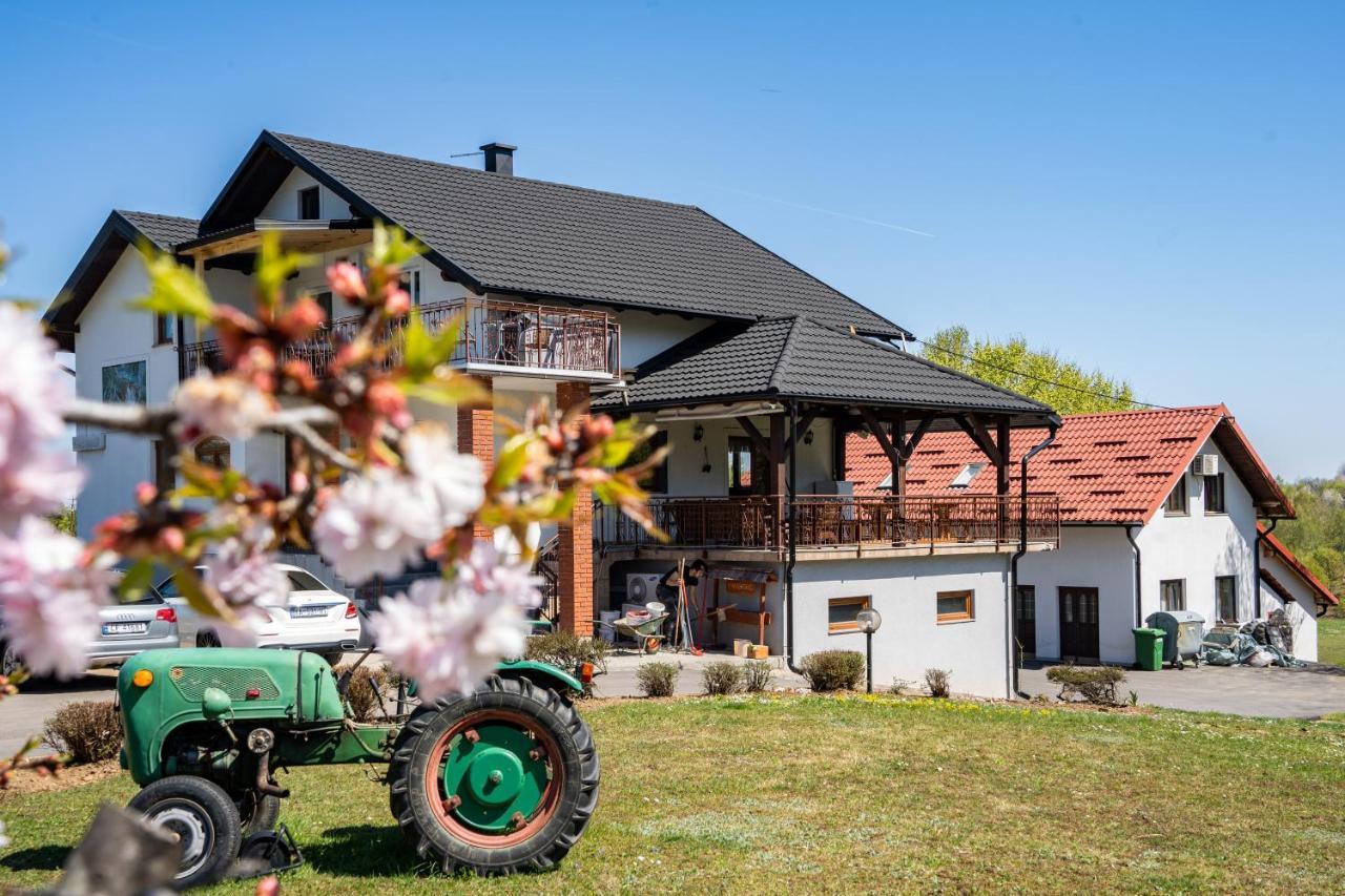 Deluxe Apartments Franjkovic Selište Drežničko Buitenkant foto
