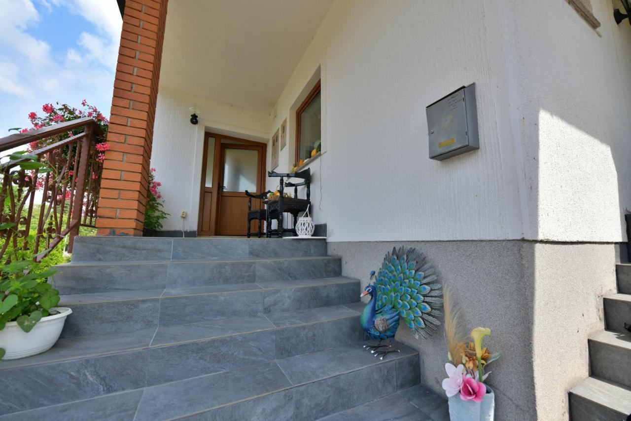 Deluxe Apartments Franjkovic Selište Drežničko Buitenkant foto